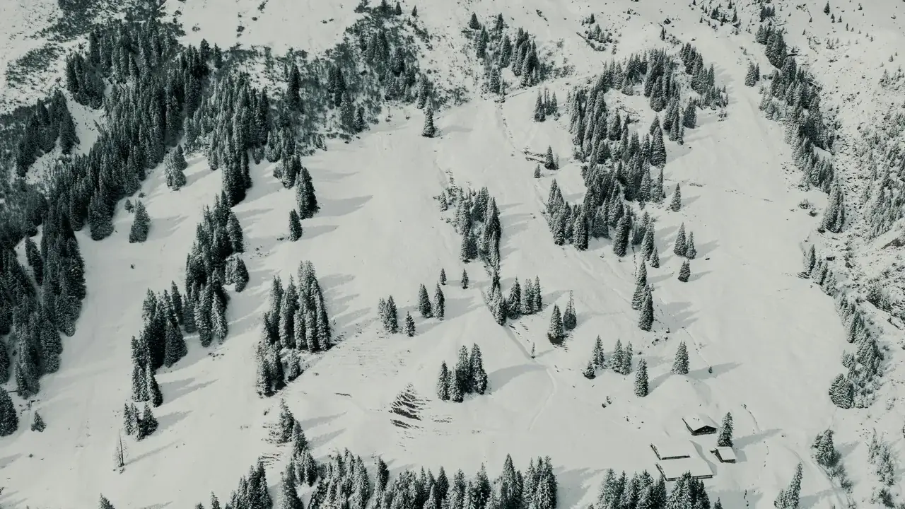 Skidresor till Champéry i Schweiz