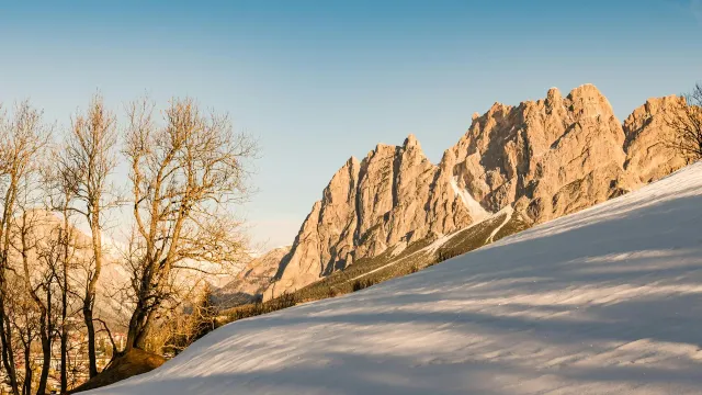 Skidresor till Bormio
